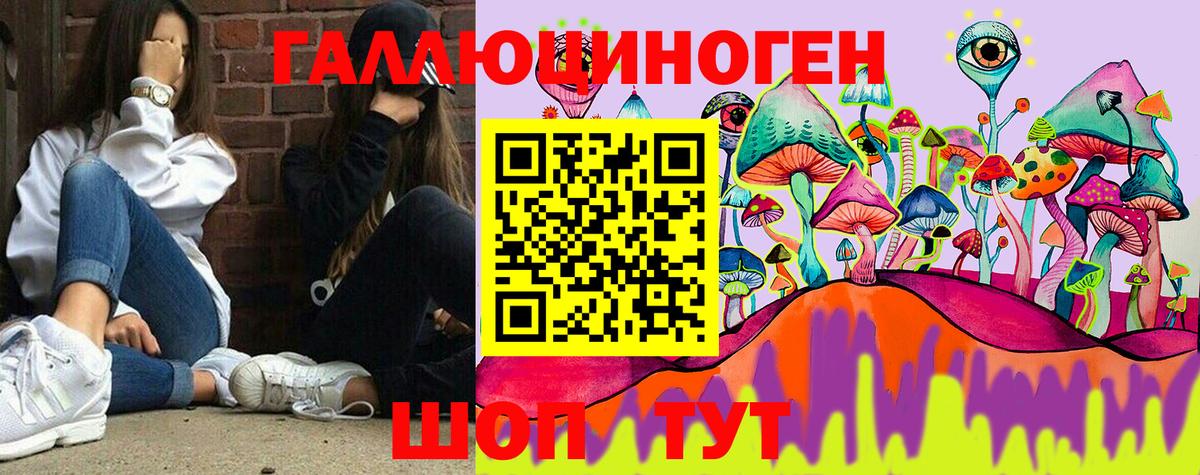 ГАШИШ Тимашёвск